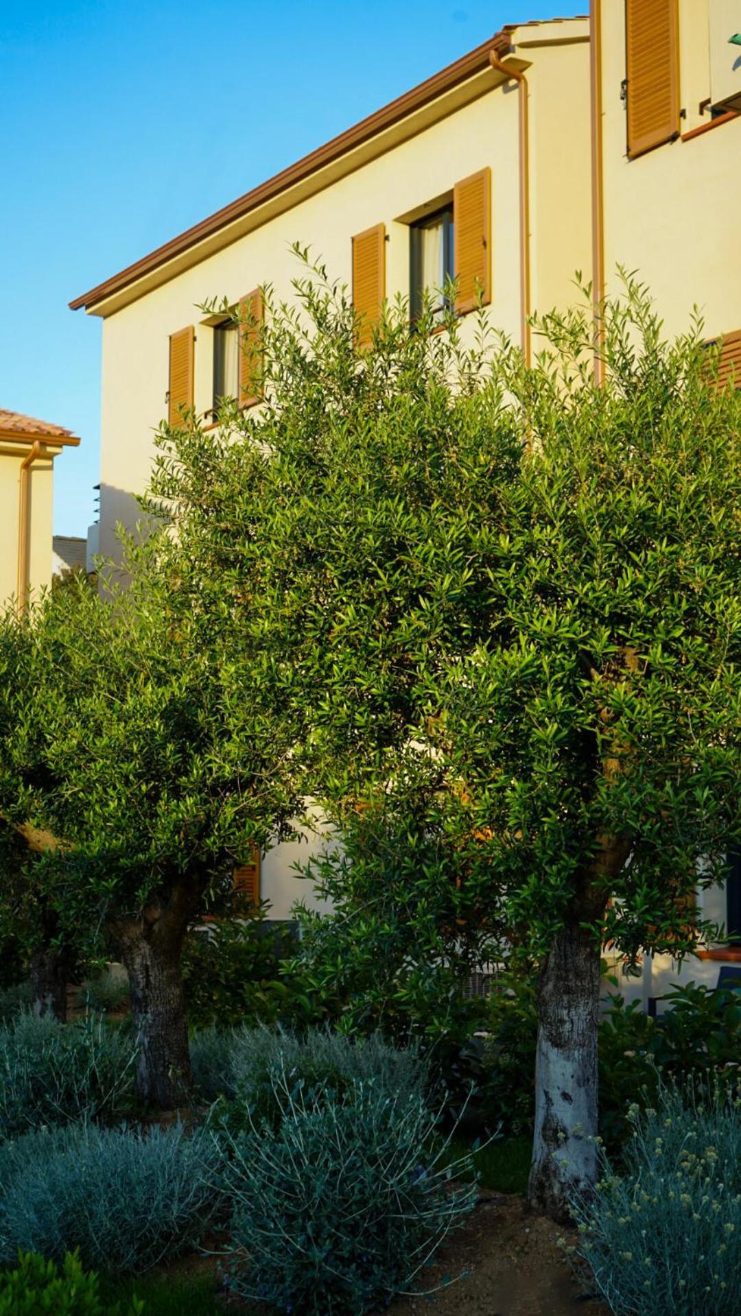 Residence Catalina Saint-Florent  Exteriör bild
